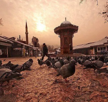Biba