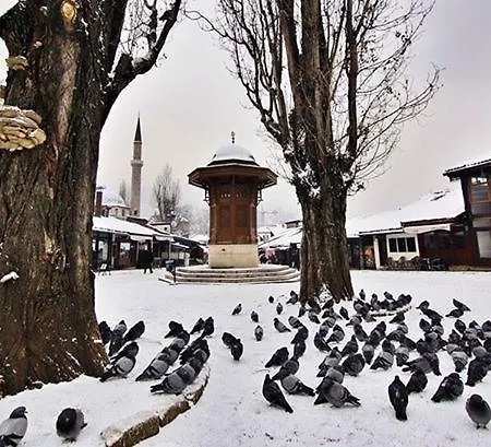 Apartman Biba *